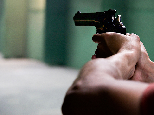 USgunlawsprojectsDSPI