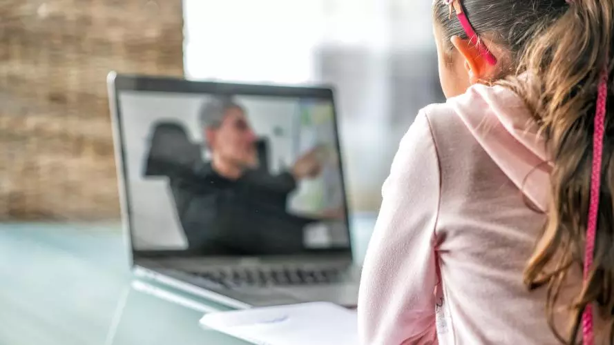 Child watching a lesson on a laptop 
