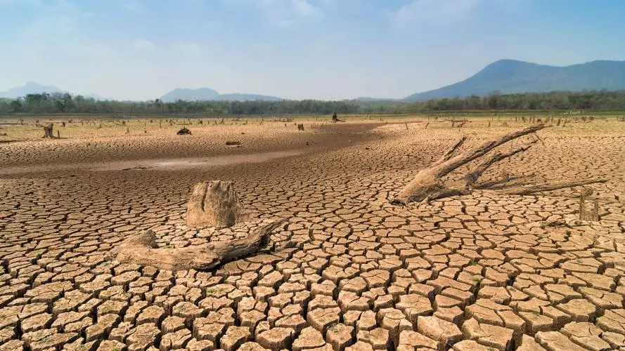 A wide landscape of dry, cracked earth, with some dry logs scattered around. There is some greenery below hills on the horizon, under a blue sky. Credit: 24Novembers - stock.adobe.com
