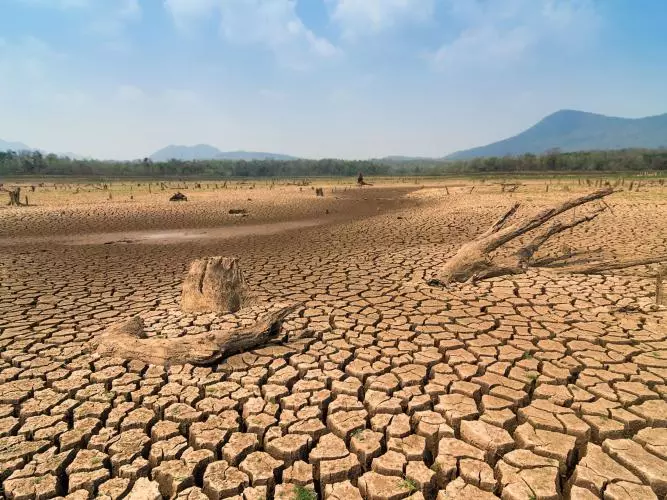 A wide landscape of dry, cracked earth, with some dry logs scattered around. There is some greenery below hills on the horizon, under a blue sky. Credit: 24Novembers - stock.adobe.com