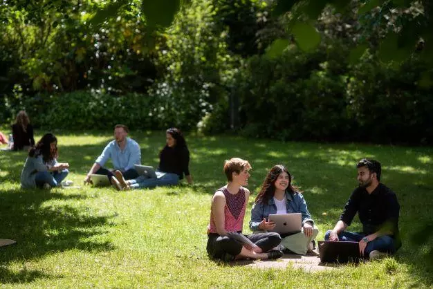 DSPI research staff sitting in groups looking at laptops in a garden